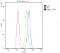 Anti-Rab5/RAB5A Antibody Picoband™ (monoclonal, 3E9)